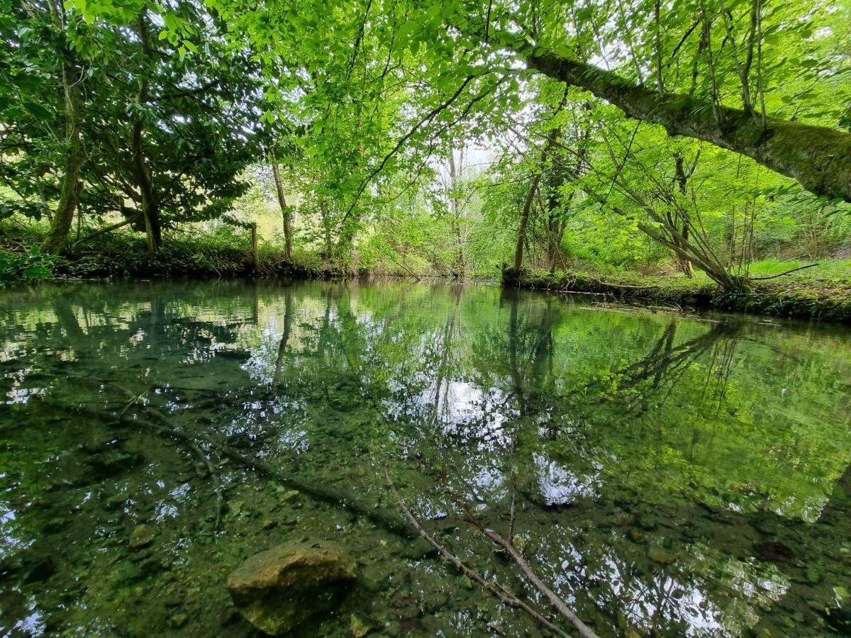 Le Domaine Du Cerf - Gites, Nature Et Spa Saint-Ouen-les-Vignes Exterior foto
